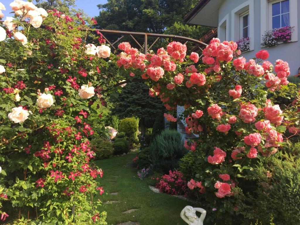 Domek I Apartamenty Zacisze Brenna Exterior foto
